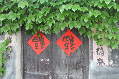 Door Doors Wood Wooden Green Plant Plants Red Fu Lucky Decoration