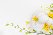 White eggs white background forsythia flowers green twigs