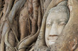 Buddha Head in the Wat Maha That temple in Ayutthaya, Thailand