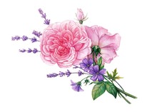 Rose & Lavender 2