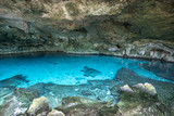 Fototapeta Most - Bright blue cenote - underground waterhole in a lime stone cave. Tulum, Mexico.