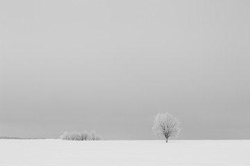 Minimalistic sad winter landscape