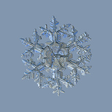 Picture Of Snowflake With Glossy Relief Surface And Complex Structure, Massive, Ornate Arms And Hexagonal Center, Divided By Six Sectors. This Image Based On Macro Photograph Of Real Snow Crystal.