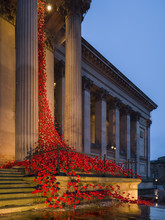 Poppies Weeping Window Cascades Down The Front Facade Of St. George's Hall In Liverpool Marking 100 Year Anniversary Of WW1, Liverpool, Merseyside