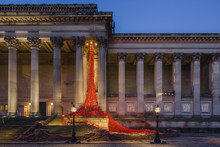 The Poppies Weeping Window Sculpture Cascading Down The St. George's Hall Building In Liverpool, Merseyside