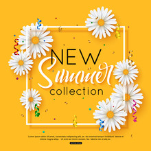 Vector Illustration Fashion Summer New Collection Banner Web Design With Daisy