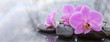 Pink orchid and basalt stones on the black background.