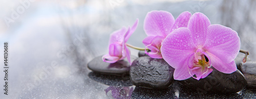 Foto-Lamellenvorhang - Pink orchid and basalt stones on the black background. (von Swetlana Wall)