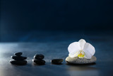 Fototapeta Desenie - spa,galet et fleur d'orchidée sur fond noir