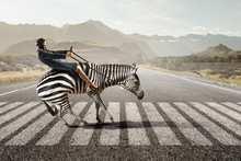 Businesswoman Ride Zebra . Mixed Media