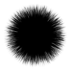 Poster - Radial lines rays, beams abstract illustration. Radiating random lines concentric pattern.