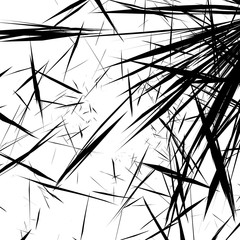 Leinwandbilder - Rough, edgy texture of random distorted shapes). Black and white abstract geometric texture / pattern.