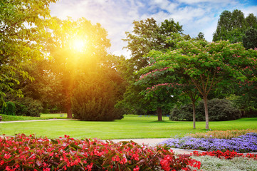 summer park with beautiful flowerbeds