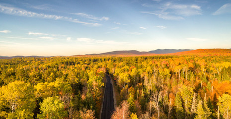 Sticker - Woods in foliage season, aerial view