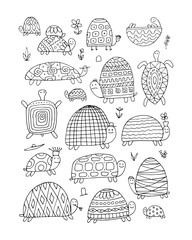 Poster - Funny turtles collection, sketch for your design