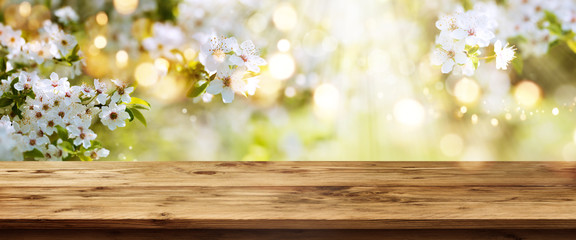 Wall Mural - White blossoms in spring with wooden table