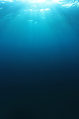 Wall Mural - Underwater blue ocean background with sunlight 