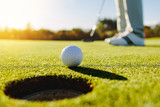 Professional golfer putting ball