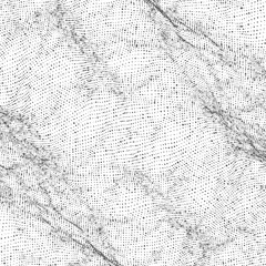Wall Mural - abstract vector monochrome wave mesh background. point cloud array. chaotic light waves. technologic