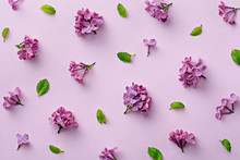 Floral Pattern On The Purple Background. Flat Lay Flowers. Top View