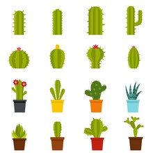 Different Cactuses Icons Set In Flat Style