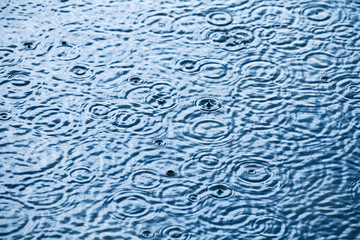 Wall Mural - raindrops on a water surface - a rainy weather background