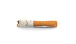 © Africa Studio - Cigarette butt on white background