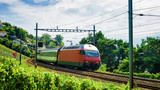Fototapeta  - Train and railroad Lavaux Vineyard Terrace