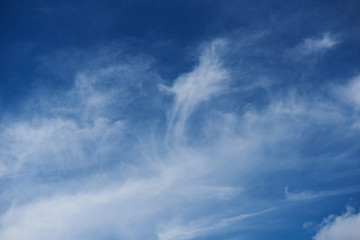 Canvas Print - Blue skyline on day time