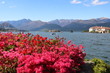 View to the Borromean Islands in spring, Stresa Italy 