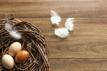 A Nest With Three Eggs And White Feathers