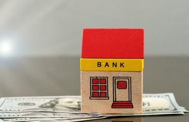 Toy bank building on US dollar assets