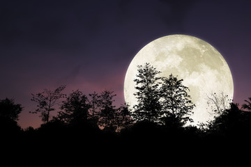 dramatic and beautiful big moon on night sky.