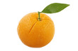 orange with leaf isolated