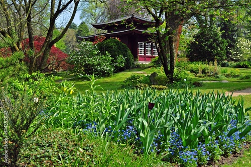 Japanischer Garten Leverkusen Buy This Stock Photo And Explore