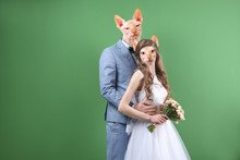 Happy Wedding Couple Posing On Color Background