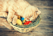 Little Ginger Kitten Sleeping On The Basket With Colored Eggs On Grunge Wooden Table. Easter Concept Scene. Retro Colored