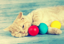 Little Ginger Kitten Sleeping On Blue Grunge Wooden Table And Holding Three Colored Eggs. Easter Concept Scene. Retro Color
