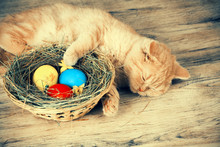 Little Ginger Kitten Sleeping On The Basket With Colored Eggs On Grunge Wooden Table. Easter Concept Scene. Retro Color