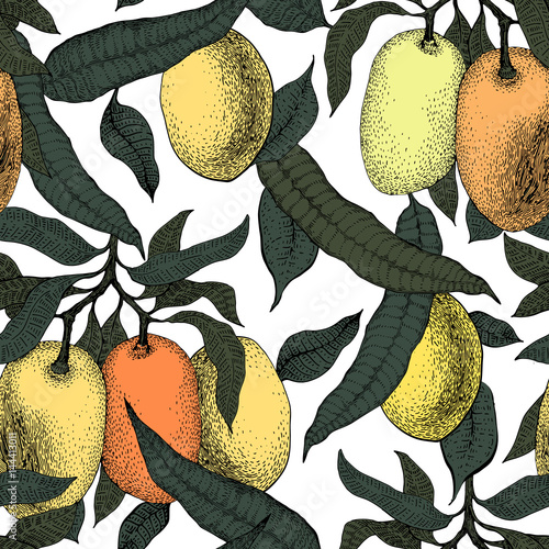 Plakat Mangowego drzewa rocznika bezszwowy wzór. Botaniczny owoc mango tło. Grawerowane mango. Ilustracji wektorowych