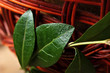 Periwinkle leaves closeup.on ester basket