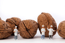 Miniature People: Chef And Cooks  In Front Walnuts