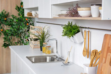 Interior Of Modern White Kitchen With Wooden Kitchenware And Mandarin Tree On The Background
