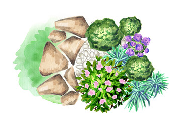 garden flowers. element of landscape design. watercolor