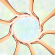 © wolfelarry - Human hands making circle on bright background