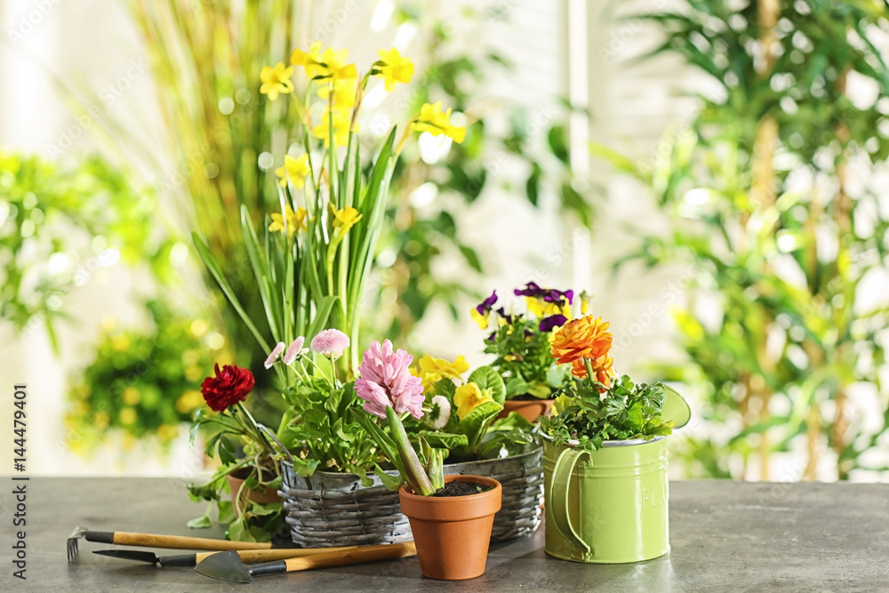 Composition with beautiful plants and gardening tools on table - obrazy, fototapety, plakaty 