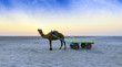 Sunset camel ride at great Rann of Kutch, Gujarat