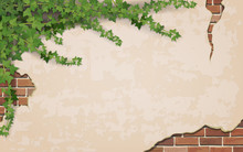 Ivy On Weathered Wall Background With Brick Masonry.  Vector Realistic Illustration.
