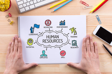 human resources chart with keywords and sketch icons