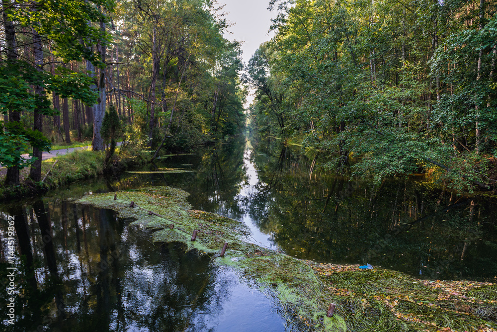 Great Canal of Brda River in Pomorskie Region, Poland - obrazy, fototapety, plakaty 